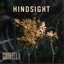 Hindsight