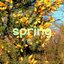 spring