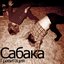 Гравитация (single 2009)