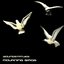 Mourning Birds