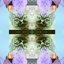 ☀ Blackoutbaby Mixxtape ☀