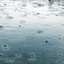 First Rain In Spring
