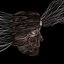 Neural Network