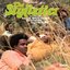 The Stylistics