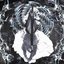 broken spirit