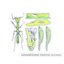 UNRESTRICTED INTERNET ACCESS - EP