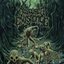 Cystic Incursion [Explicit]