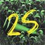2S
