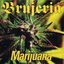 Marijuana