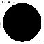 Black Dots