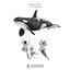 Tilikum
