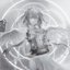 Everglae