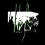 Vertigo