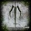 Infecting The Scars [Explicit]