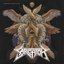 Swarming Angels & Flies [Explicit]