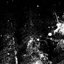 Pure Tyranny of Rawness - A Compendium of Lofi Raw Black Metal