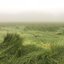 wind fields 808
