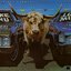 Forever Taurus (Remastered 2025)
