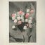 lily of the valley