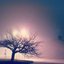 Find the Light
