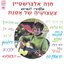 צעצועיה של אסנת