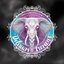 Delirium Tremens 2016