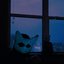 my room (deadly)