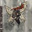 HYBRID THEORY: AN ENCORE
