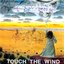Touch The Wind