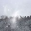 winter solace