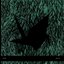 Origami
