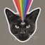Black Cat [Explicit]
