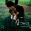 薔薇色の明日 +3 (2022 Yoshinori Sunahara Remastering)
