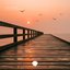 The Light That Lingers
