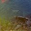 The River