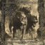 Slavic Wolves Call