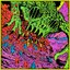 Live at Red Rocks '22 [Explicit]