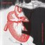 Sympathetic Nervous System [Acum 02-6182]