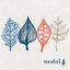 Modal4