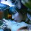 Pink Movie Director's Cut - EP