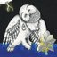 Magnolia Electric Company Co.