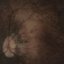Bereft of Xerotic Layers (Album)