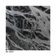 1k Free EP