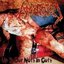 Enjoy The Slaughter / Up To Our Nuts In Guts