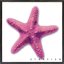 Starfish EP