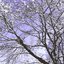 白い花が、散る頃に。