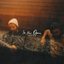 In The Open Volume One - EP