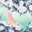 Butterfly Dream