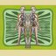 Muzika Electronic