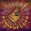 Kings of Leon Piano Tribute